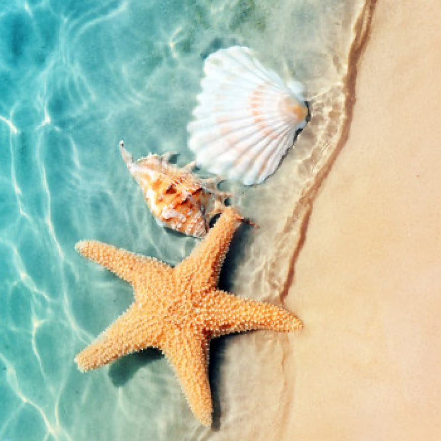 Погода на Северном Кипре с 20 по 29 сентября: ясно, жарко и ветрено