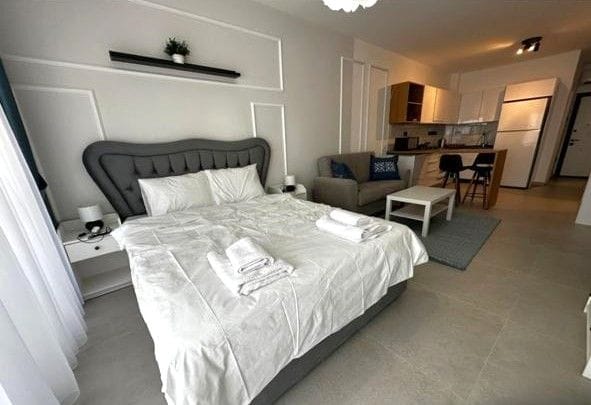 Студия 50м2 с балконом 9м2 - фото № 1