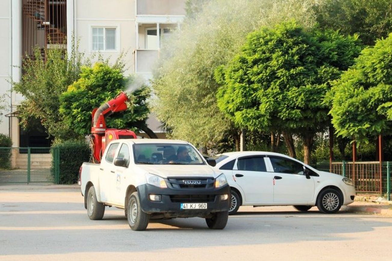 Лефкоша запустила программу биологической обработки против опасной сосновой гусеницы