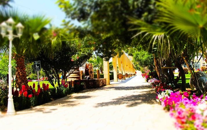 2-комнатные апартаменты 62м2 с террасой 29м2 в курортном комплексе - фото № 60