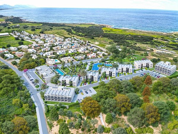 Студия 51 м² с террасой  - фото № 21