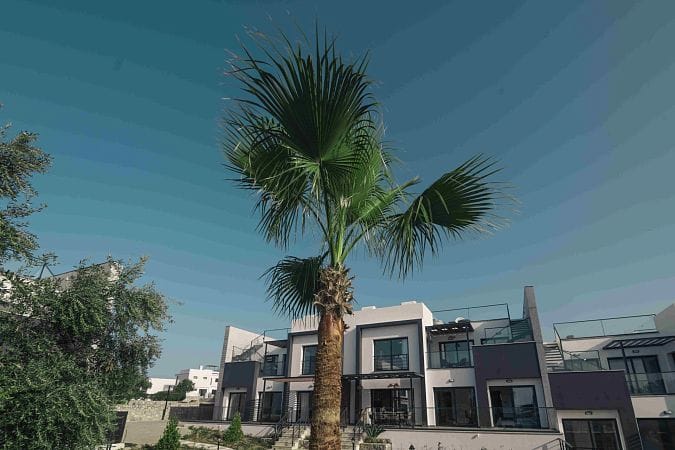 4-комнатная duplex вилла 307 м² с двумя террасами и садом - фото № 25