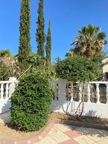 Роскошная 5-спальная вилла в 160 метрах от пляжа (Villa Sarcon) - фото № 47