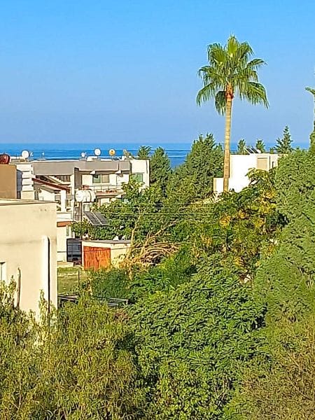 2-комнатный пентхаус 50 м² с террасой на крыше и видами на море - фото № 19