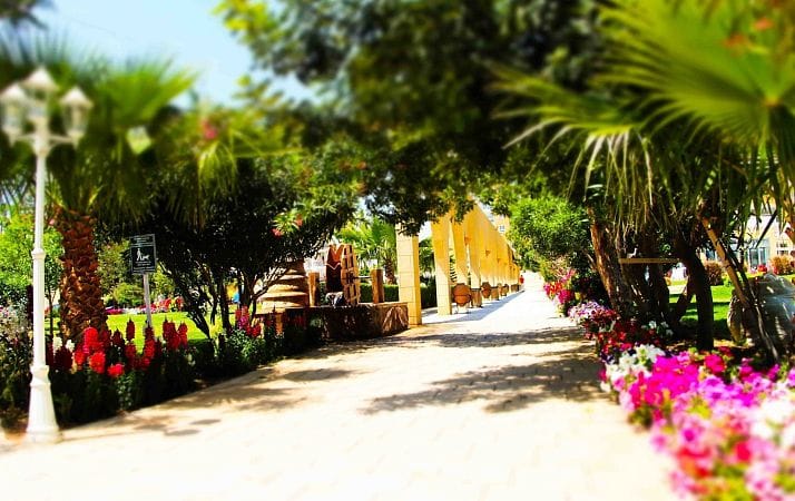 4-комнатный пентхаус 128 м² с террасой на крыше 36 м² и потрясающими видами на море! - фото № 265