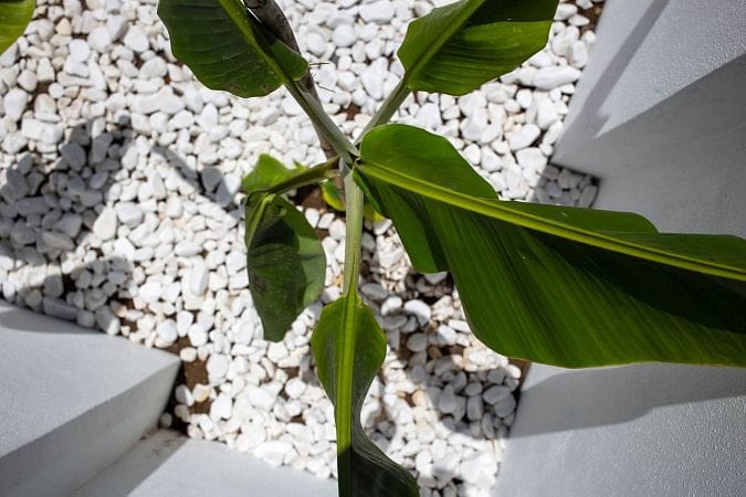 Современная 5-комнатная вилла 264 м² премиум-класса с частным бассейном и джакузи на крыше - фото № 67