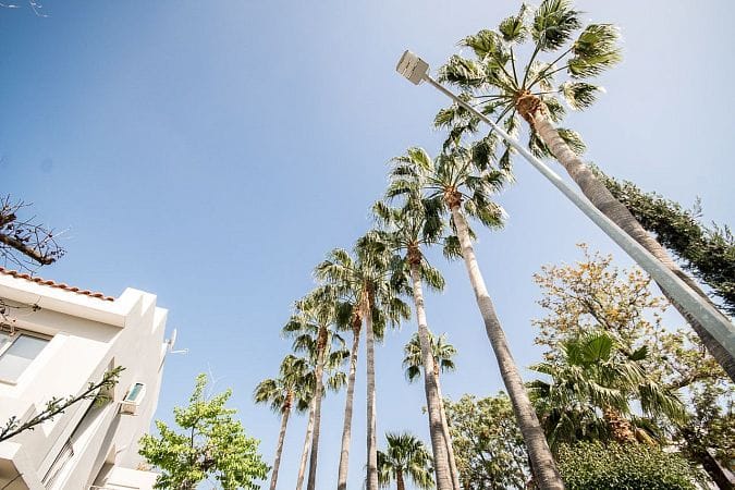 3-комнатный пентхаус 61 м² с террасой на крыше 44 м² полностью меблирован - фото № 51