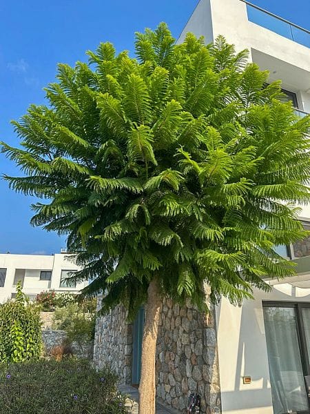 3-комнатный пентхаус 83 м² с террасой на крыше 60 м² и полным дизайн-пакетом в 200 метрах от моря! - фото № 23