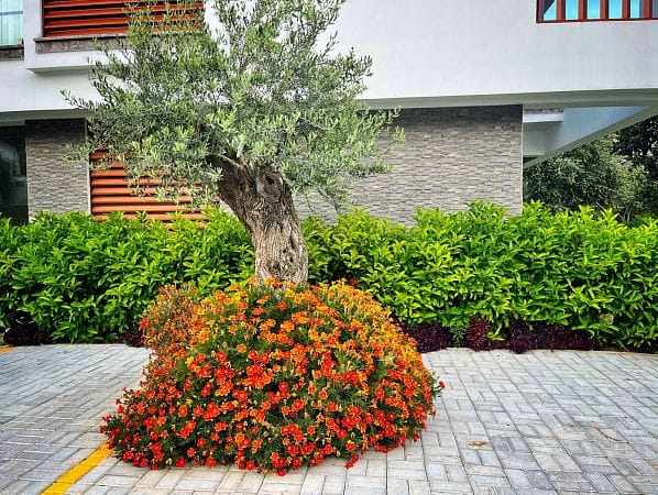 3-комнатные апартаменты 99 м² с видом на горы - фото № 13