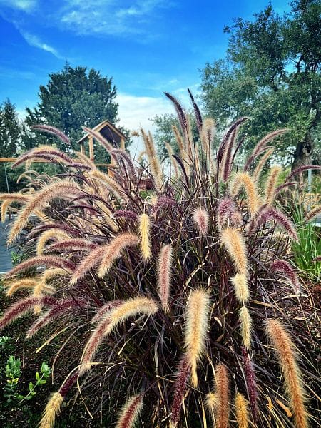 3-комнатные апартаменты 99 м² с видом на горы - фото № 14