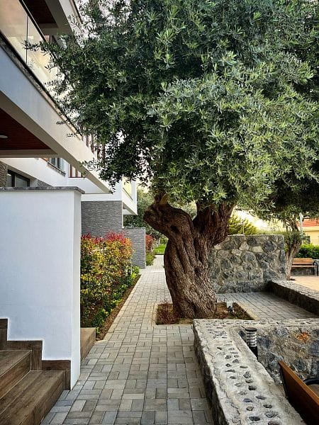 3-комнатные апартаменты 99 м² с видом на горы - фото № 18