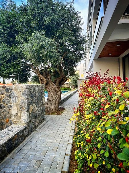 3-комнатные апартаменты 99 м² с видом на горы - фото № 19