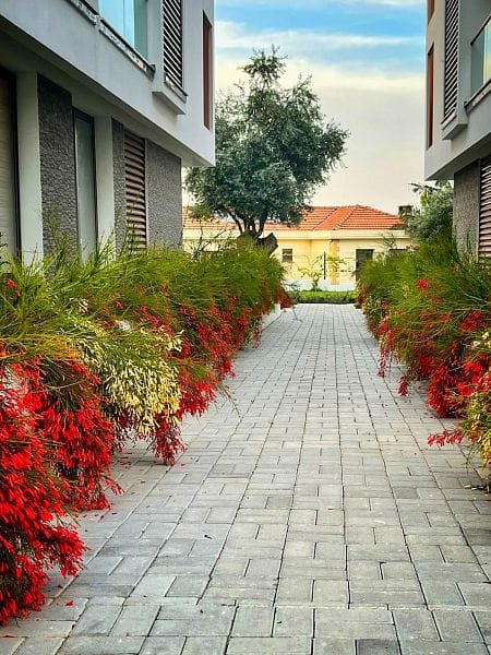 3-комнатные апартаменты 99 м² с видом на горы - фото № 21