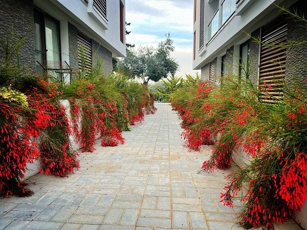 3-комнатные апартаменты 99 м² с видом на горы - фото № 23