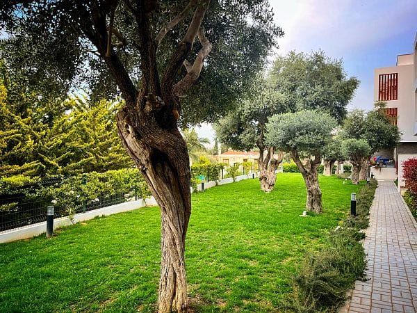 3-комнатные апартаменты 99 м² с видом на горы - фото № 25