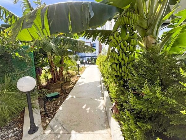 3-комнатный апартаменты 95 м² с террасой на крыше 40 м² и видами на море и горы - фото № 34