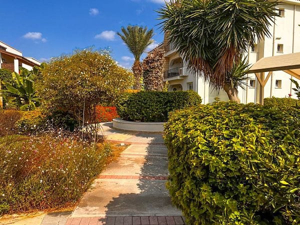 3-комнатные апартаменты 60 м² с террасой всего в 150 метрах от моря! - фото № 13