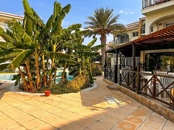 3-комнатные апартаменты 60 м² с террасой всего в 150 метрах от моря! - фото № 18