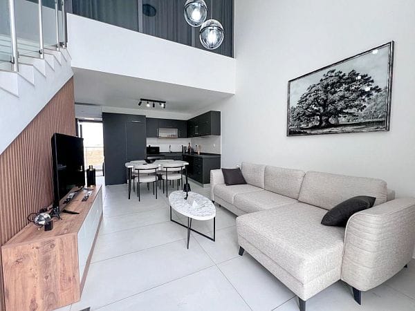 2-комнатный пентхаус loft 52 м² с террасой на крыше 38 м² и полным дизайн-пакетом - фото № 3