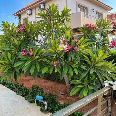 4-комнатная вилла 170 м² с террасой 40 м² в комплексе с инфраструктурой - фото № 2